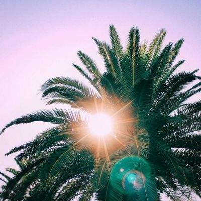 环球体育app最新版下载