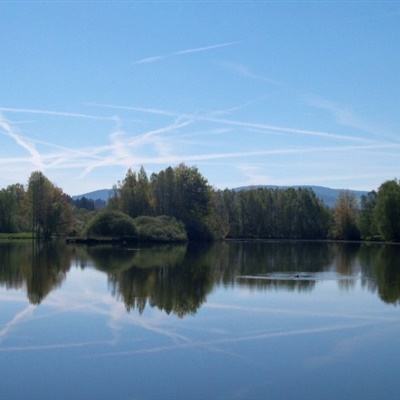 kaiyun体育全站app下载