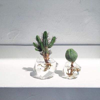 pg电子娱乐平台