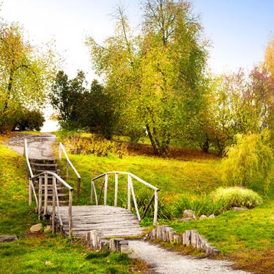 威斯尼斯wns888入口app